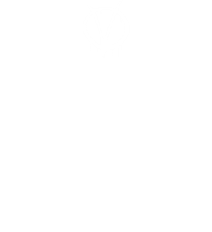 卫衣