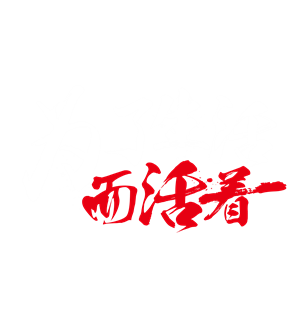 卫衣