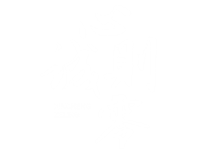 卫衣