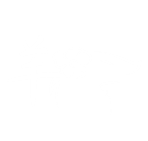 T恤