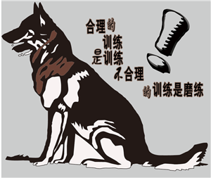 T恤
