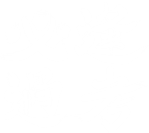 卫衣