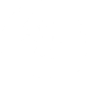 卫衣