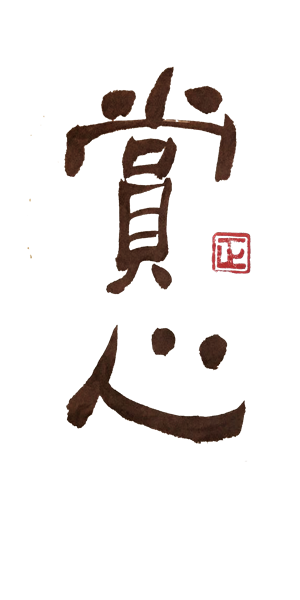 T恤