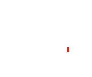 T恤