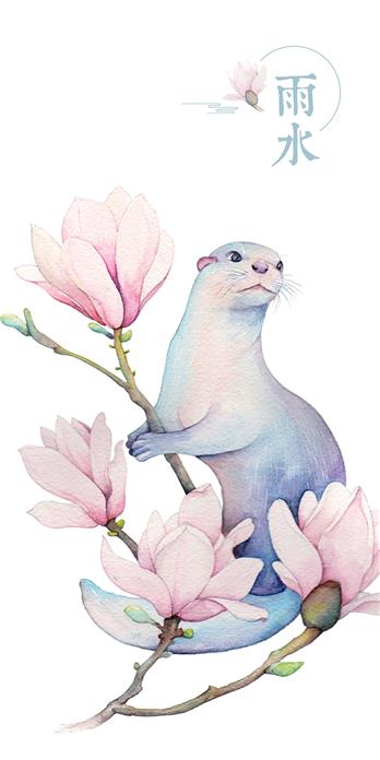 手机壳