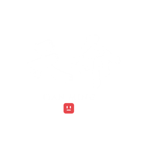 T恤