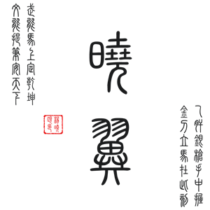 T恤