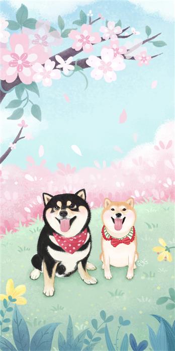 手机壳