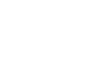 T恤