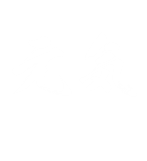 T恤