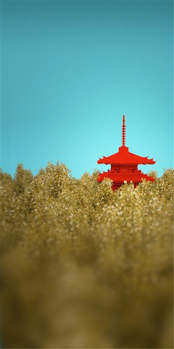 手机壳