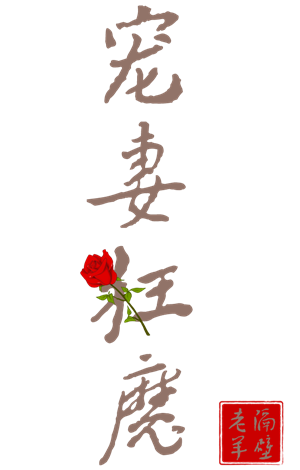 卫衣