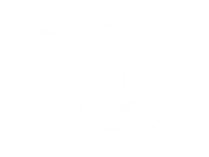 卫衣