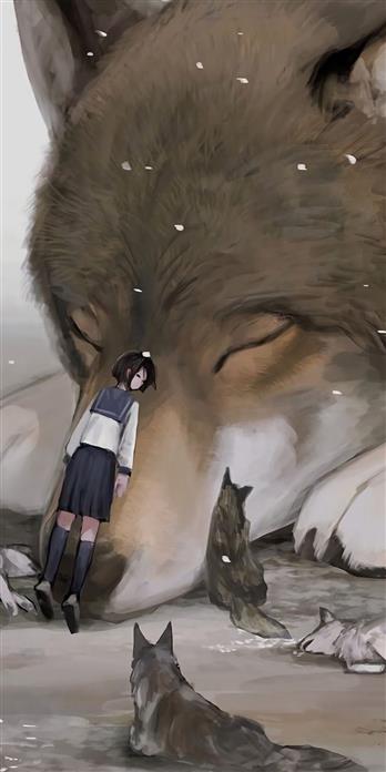 手机壳