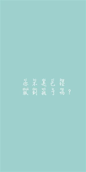手机壳