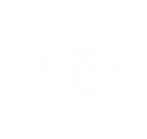 卫衣