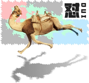 T恤