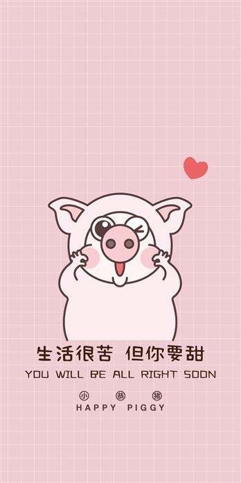 手机壳