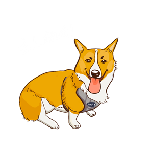 卫衣