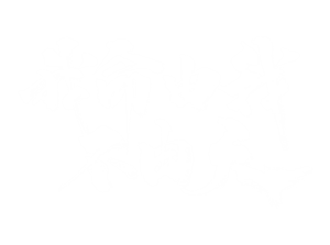 卫衣