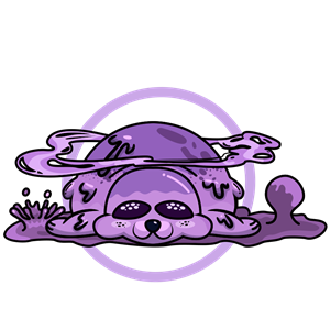 卫衣