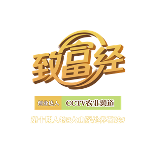 卫衣