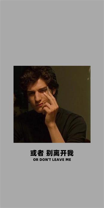 手机壳