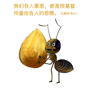 帆布袋