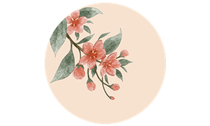 帆布袋