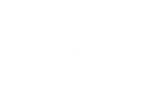 卫衣
