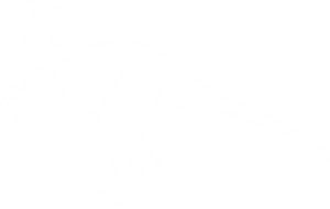 帆布袋