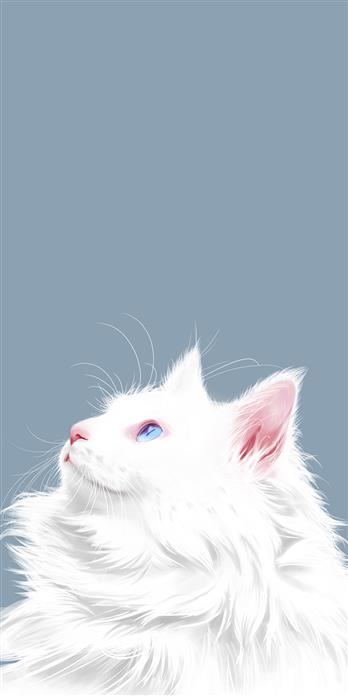 手机壳