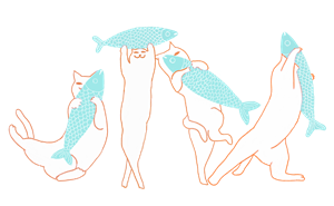 卫衣