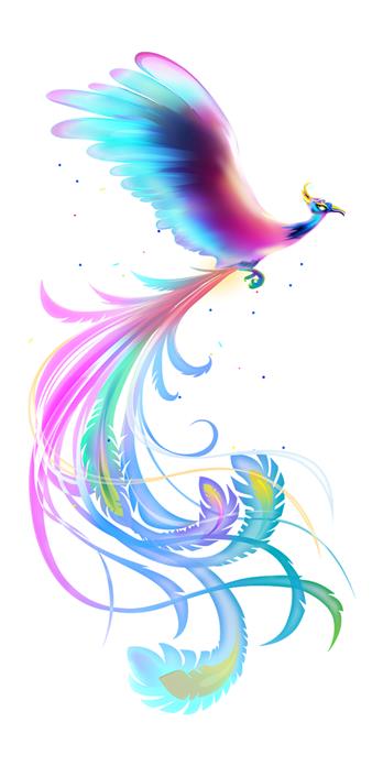 手机壳