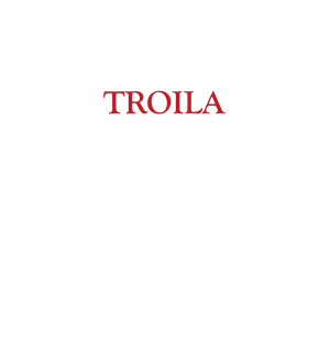 T恤