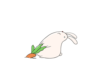 卫衣