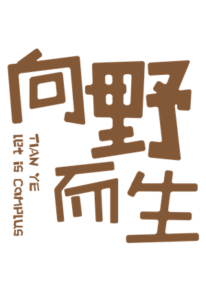 T恤