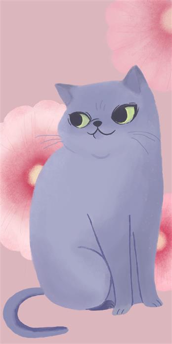 手机壳