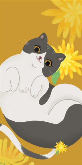 手机壳