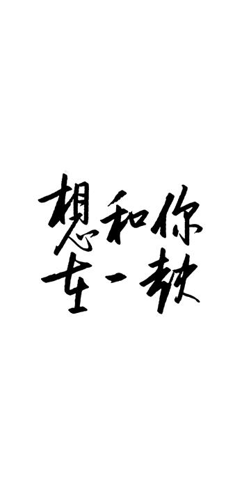 手机壳
