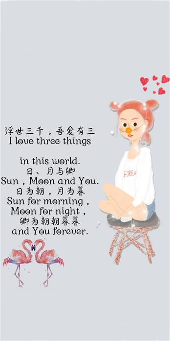 手机壳