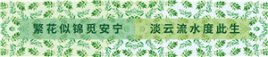 卫衣