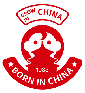 T恤