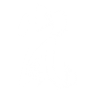 T恤