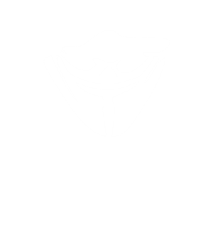 卫衣