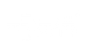 T恤