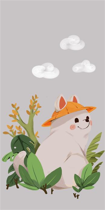 手机壳