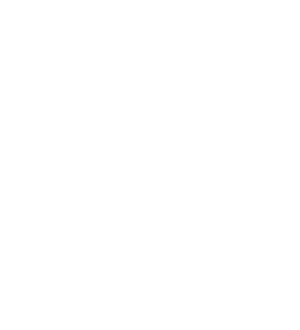 T恤