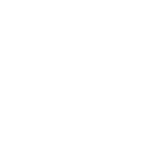 T恤
